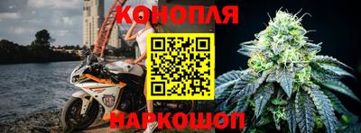шишки Гатчина