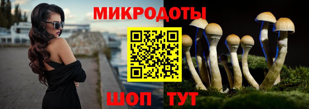 Галлюциногенные грибы MAGIC MUSHROOMS Минусинск